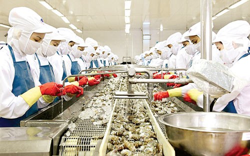 Vietnam’s shrimp exports face difficulties because of import reduction from many nations (Photo: SGGP)